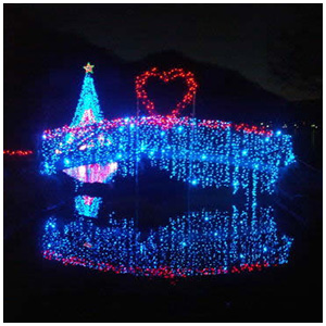 277榛名湖イルミネーションフェスタ06