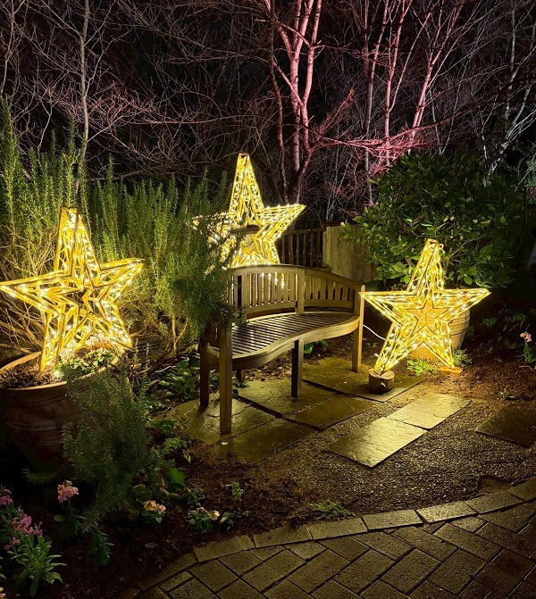 イブニングスター-フォトスポット_1