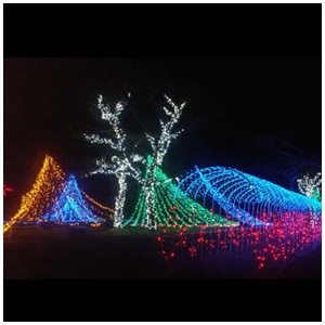 282榛名湖イルミネーションフェスタ06