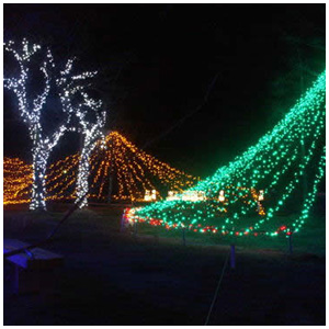 278榛名湖イルミネーションフェスタ06