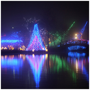 283榛名湖イルミネーションフェスタ06